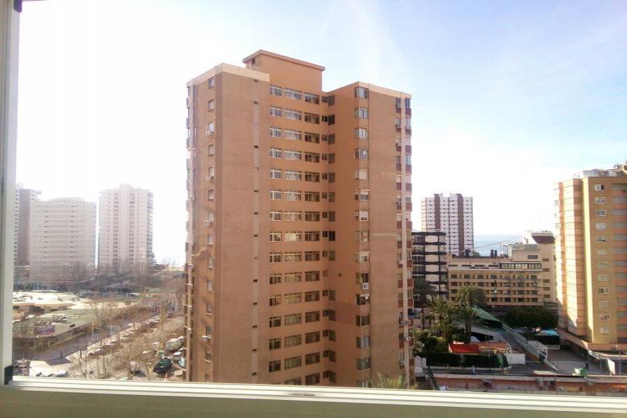 Benidorm,Alicante,España,1 Dormitorio Bedrooms,1 BañoBathrooms,Apartamentos,24732