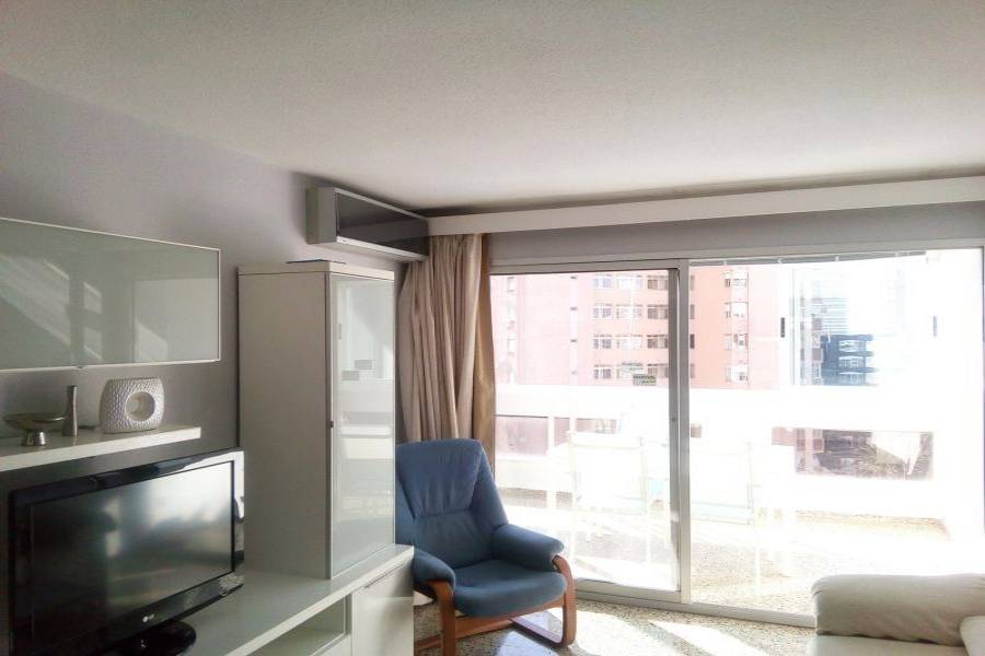 Benidorm,Alicante,España,1 Dormitorio Bedrooms,1 BañoBathrooms,Apartamentos,24732