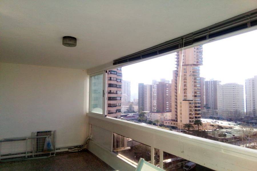 Benidorm,Alicante,España,1 Dormitorio Bedrooms,1 BañoBathrooms,Apartamentos,24732