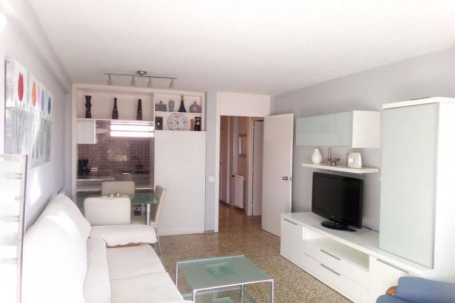 Benidorm,Alicante,España,1 Dormitorio Bedrooms,1 BañoBathrooms,Apartamentos,24732
