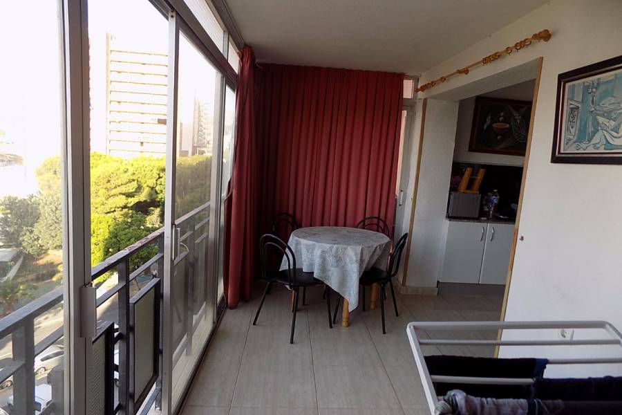Benidorm,Alicante,España,1 Dormitorio Bedrooms,1 BañoBathrooms,Apartamentos,24742