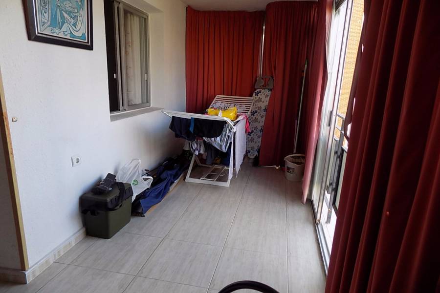 Benidorm,Alicante,España,1 Dormitorio Bedrooms,1 BañoBathrooms,Apartamentos,24742