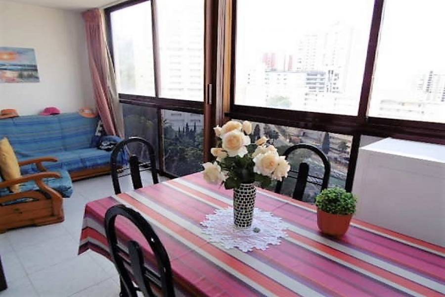 Benidorm,Alicante,España,1 Dormitorio Bedrooms,1 BañoBathrooms,Apartamentos,24753