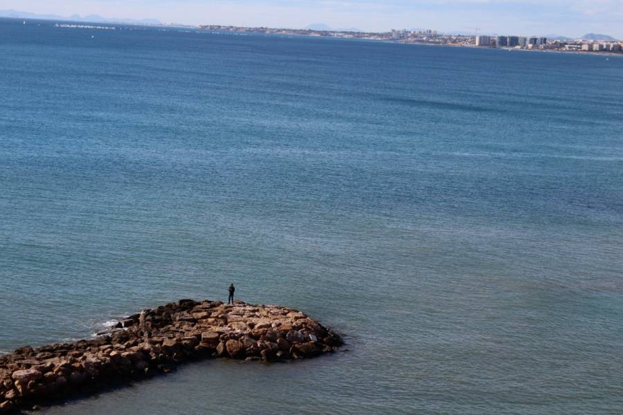 Torrevieja,Alicante,España,3 Bedrooms Bedrooms,2 BathroomsBathrooms,Atico,24764
