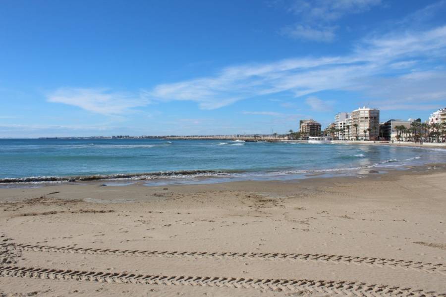 Torrevieja,Alicante,España,3 Bedrooms Bedrooms,2 BathroomsBathrooms,Atico,24764