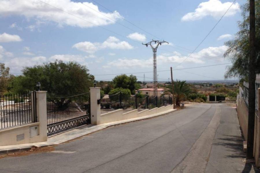 Elche,Alicante,España,Lotes-Terrenos,24774