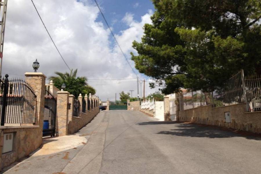 Elche,Alicante,España,Lotes-Terrenos,24774