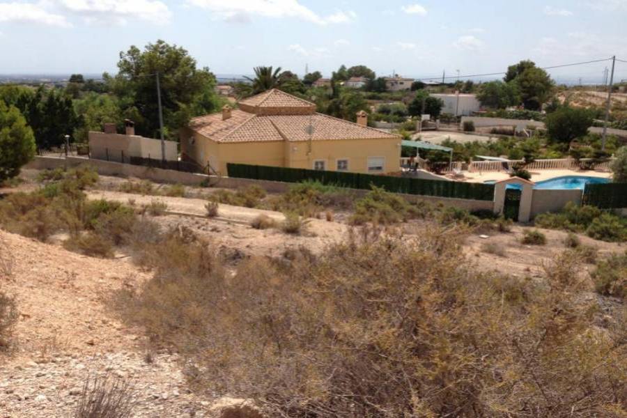 Elche,Alicante,España,Lotes-Terrenos,24774