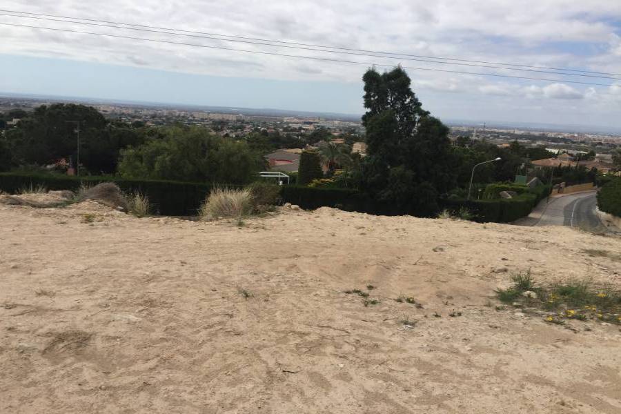 Elche,Alicante,España,Lotes-Terrenos,24778