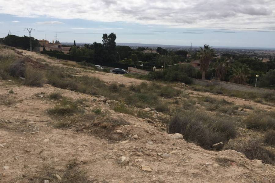 Elche,Alicante,España,Lotes-Terrenos,24778