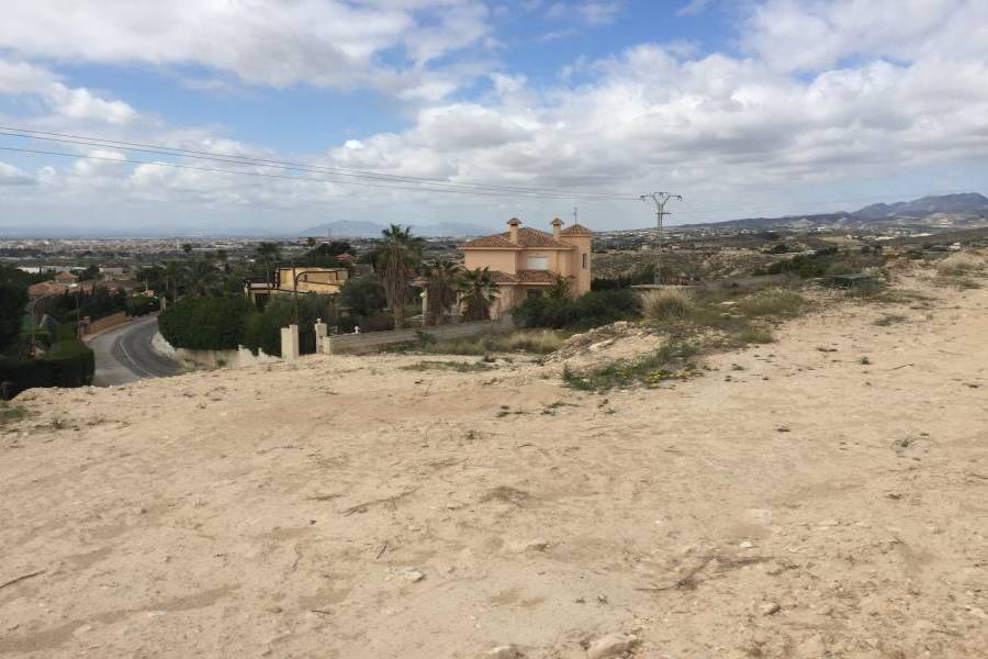 Elche,Alicante,España,Lotes-Terrenos,24778