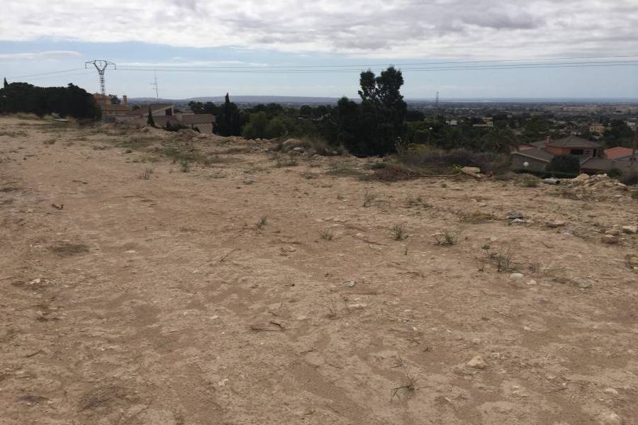 Elche,Alicante,España,Lotes-Terrenos,24778