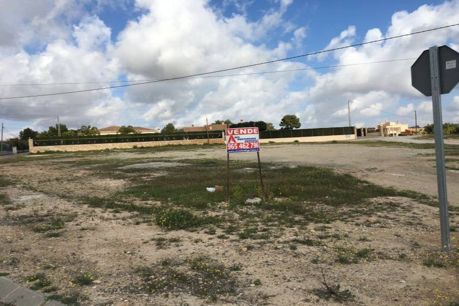 Elche,Alicante,España,Lotes-Terrenos,24780