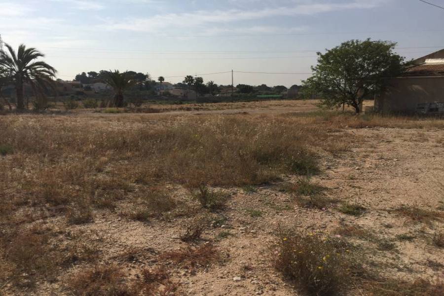 Elche,Alicante,España,Lotes-Terrenos,24780