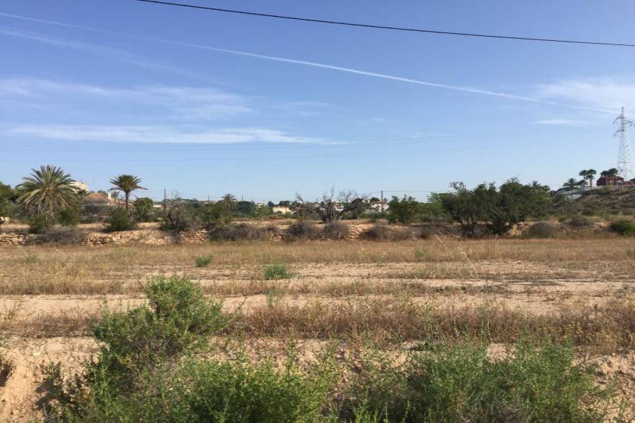 Elche,Alicante,España,Lotes-Terrenos,24780