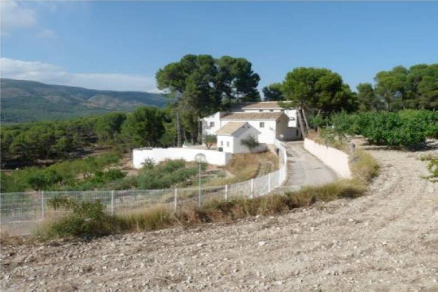 Ibi,Alicante,España,10 Bedrooms Bedrooms,3 BathroomsBathrooms,Lotes-Terrenos,24784