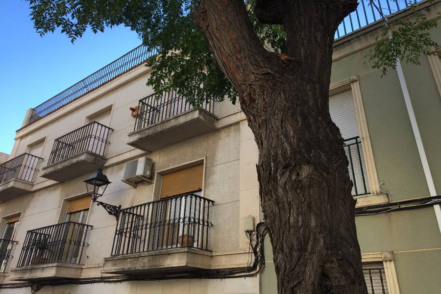 Elche,Alicante,España,5 Bedrooms Bedrooms,2 BathroomsBathrooms,Edificio,24789