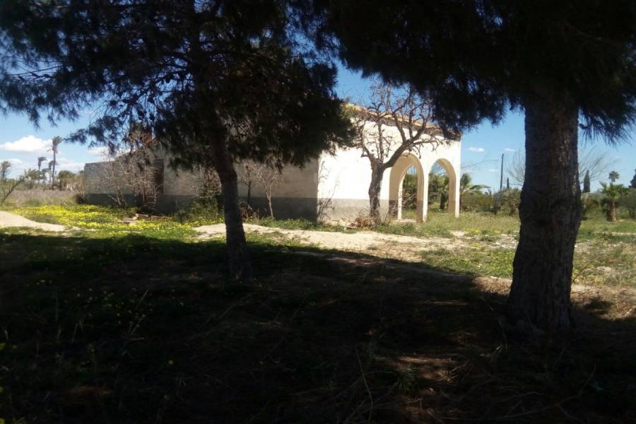 Elche,Alicante,España,3 Bedrooms Bedrooms,1 BañoBathrooms,Casas,24797