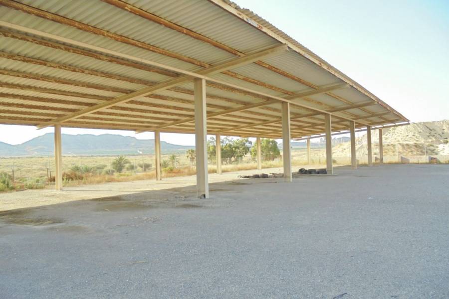 Alicante,Alicante,España,Lotes-Terrenos,24819