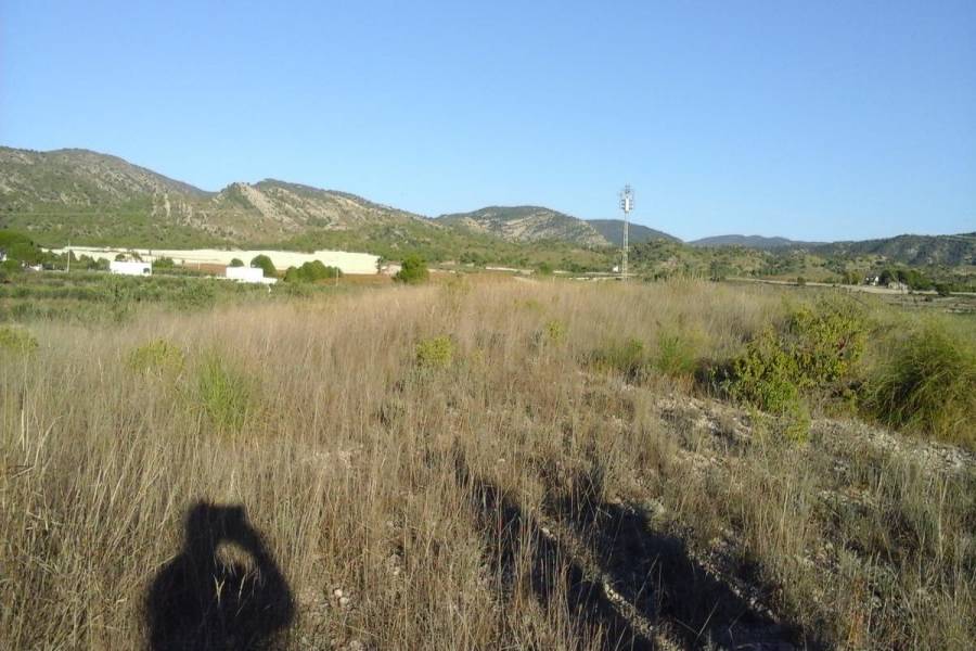 Sax,Alicante,España,Lotes-Terrenos,24824