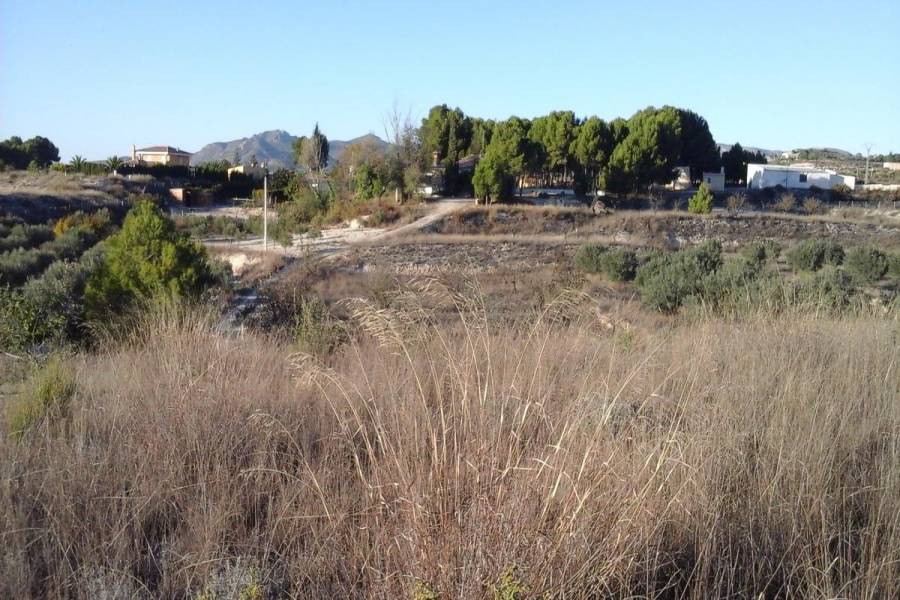 Sax,Alicante,España,Lotes-Terrenos,24824