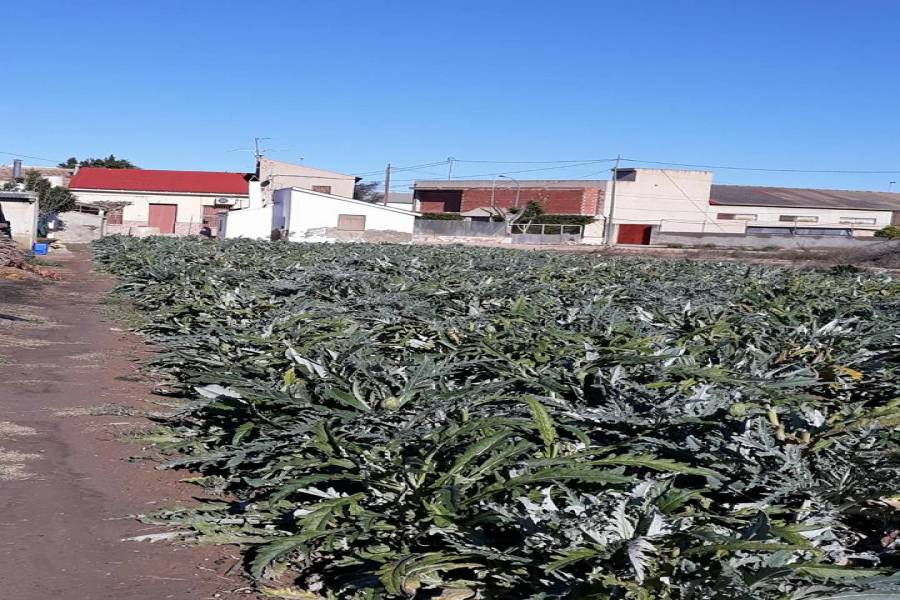 Rafal,Alicante,España,3 Bedrooms Bedrooms,Casas,24829