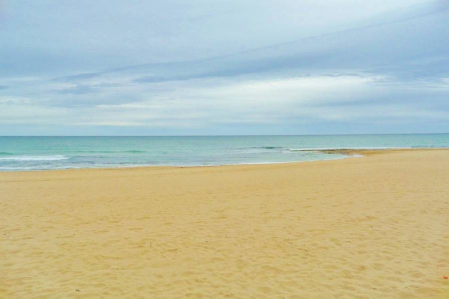 Torrevieja,Alicante,España,4 Bedrooms Bedrooms,3 BathroomsBathrooms,Adosada,24834