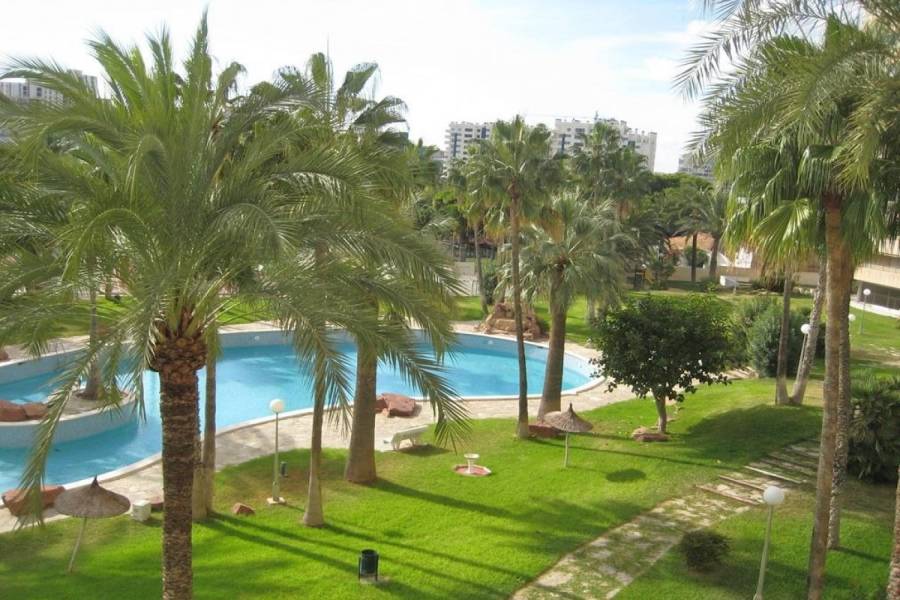 el Campello,Alicante,España,3 Bedrooms Bedrooms,2 BathroomsBathrooms,Apartamentos,24842