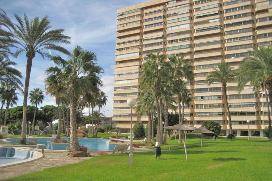 el Campello,Alicante,España,3 Bedrooms Bedrooms,2 BathroomsBathrooms,Apartamentos,24842