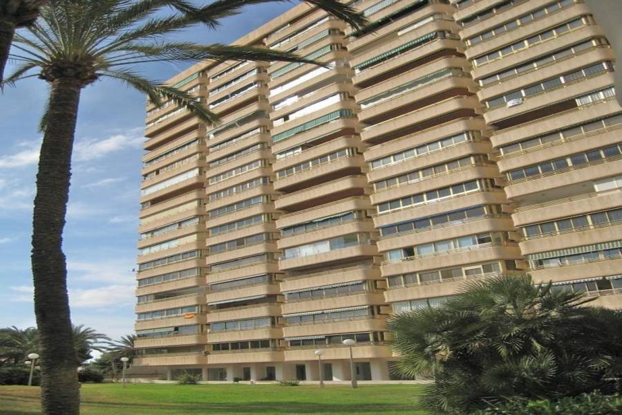 el Campello,Alicante,España,3 Bedrooms Bedrooms,2 BathroomsBathrooms,Apartamentos,24842