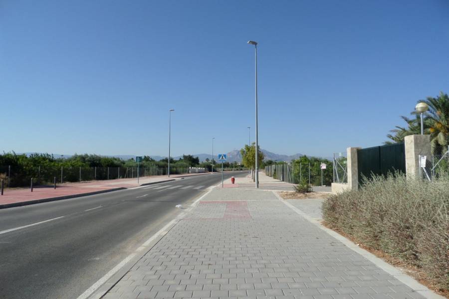 Mutxamel,Alicante,España,Lotes-Terrenos,24861