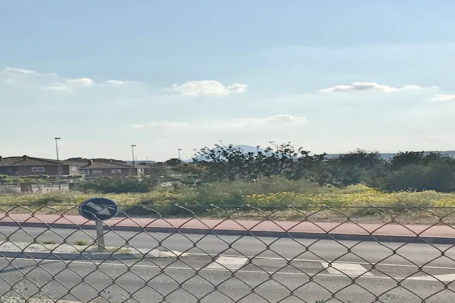 Mutxamel,Alicante,España,Lotes-Terrenos,24861