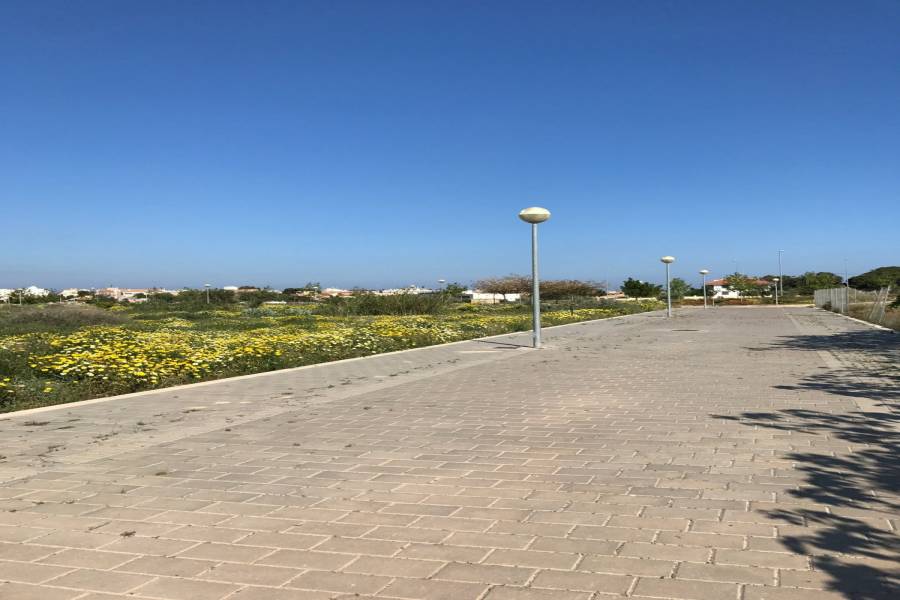 Mutxamel,Alicante,España,Lotes-Terrenos,24861