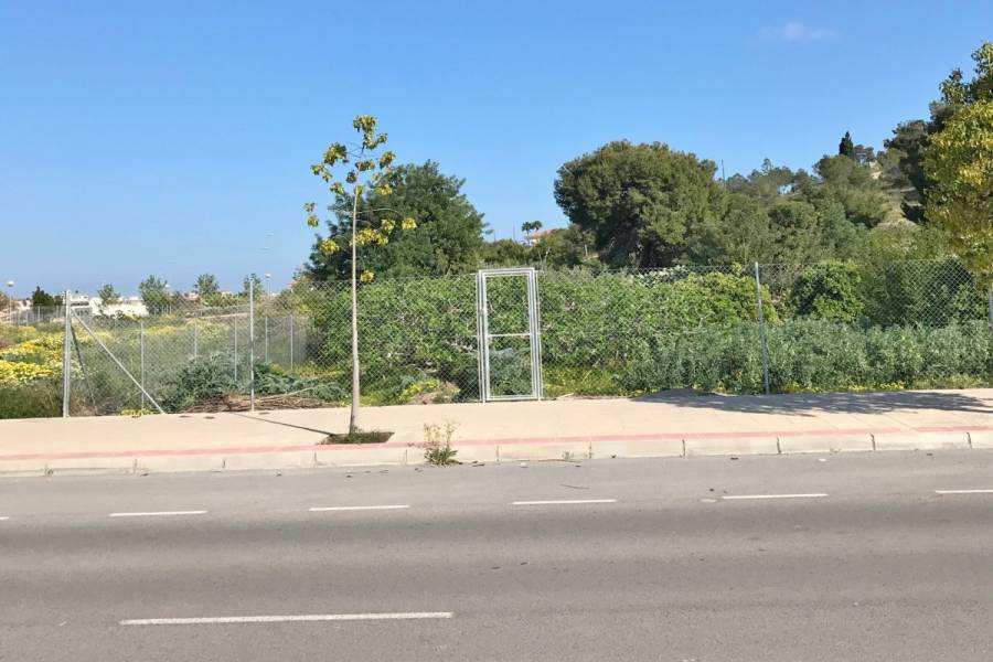 Mutxamel,Alicante,España,Lotes-Terrenos,24861