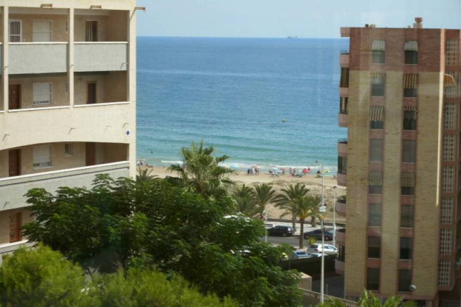 Arenales del sol,Alicante,España,3 Bedrooms Bedrooms,1 BañoBathrooms,Apartamentos,24866