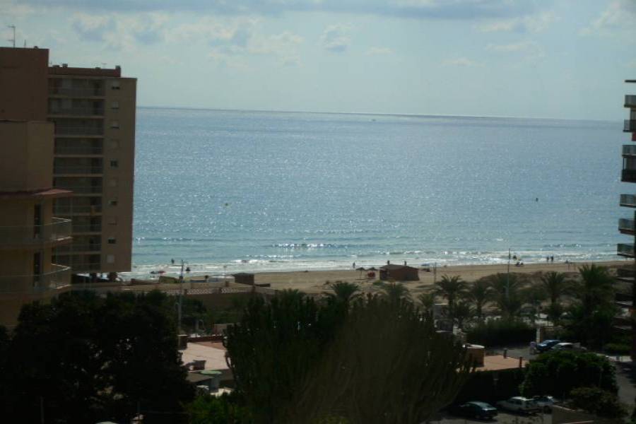 Arenales del sol,Alicante,España,3 Bedrooms Bedrooms,1 BañoBathrooms,Apartamentos,24866