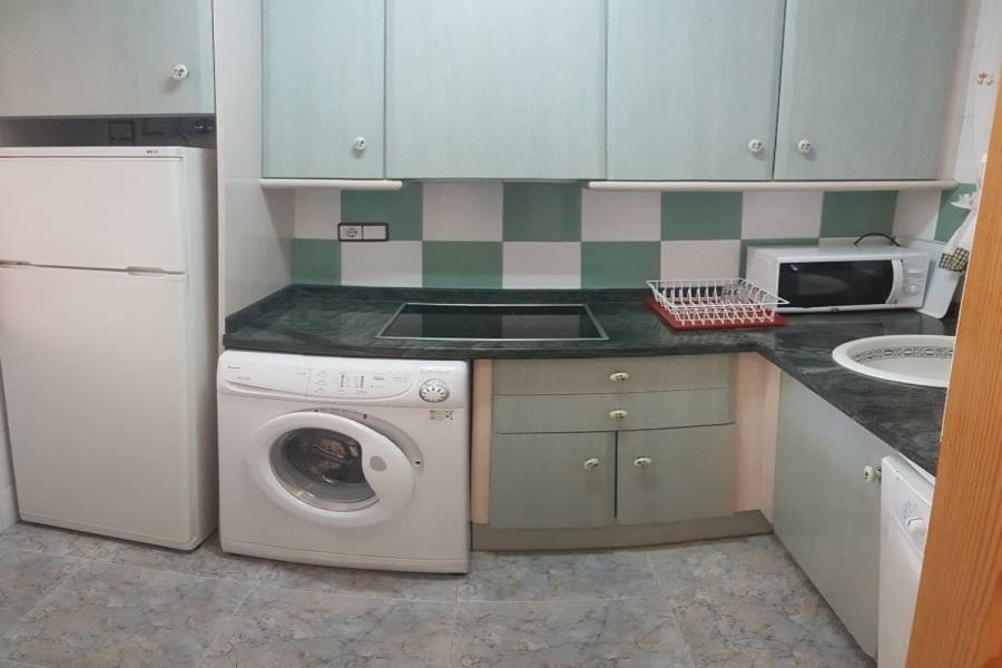 Arenales del sol,Alicante,España,2 Bedrooms Bedrooms,1 BañoBathrooms,Apartamentos,24867