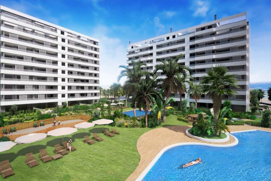 Torrevieja,Alicante,España,2 Bedrooms Bedrooms,2 BathroomsBathrooms,Apartamentos,24896