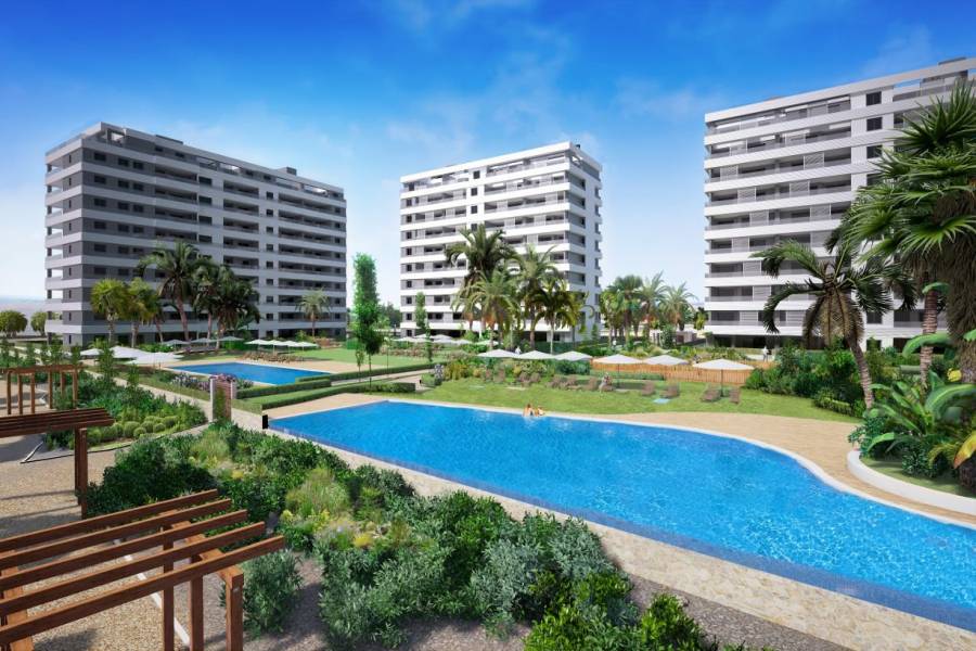 Torrevieja,Alicante,España,2 Bedrooms Bedrooms,2 BathroomsBathrooms,Apartamentos,24896