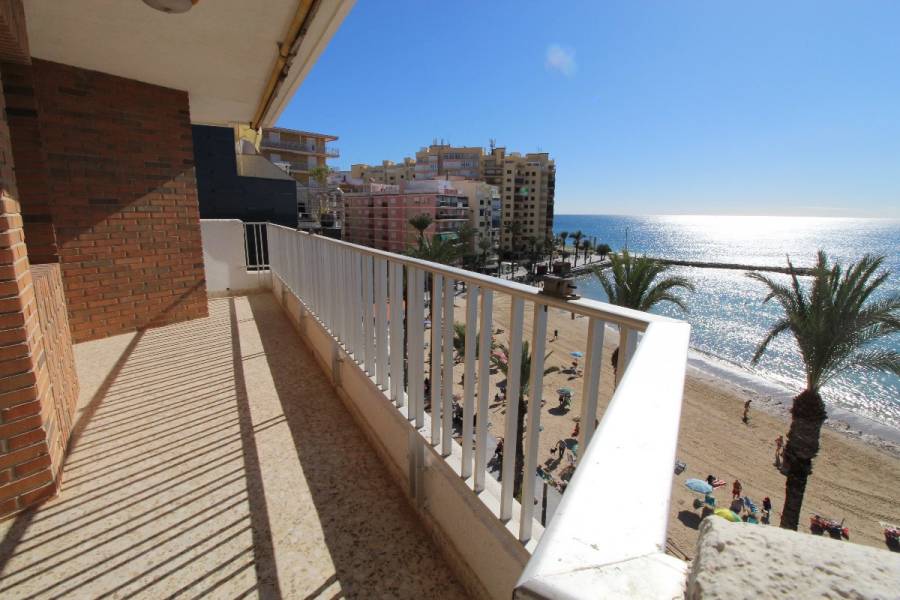 Torrevieja,Alicante,España,4 Bedrooms Bedrooms,3 BathroomsBathrooms,Atico,24904