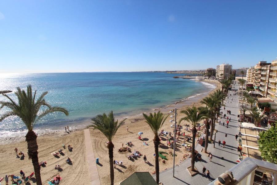 Torrevieja,Alicante,España,4 Bedrooms Bedrooms,3 BathroomsBathrooms,Atico,24904