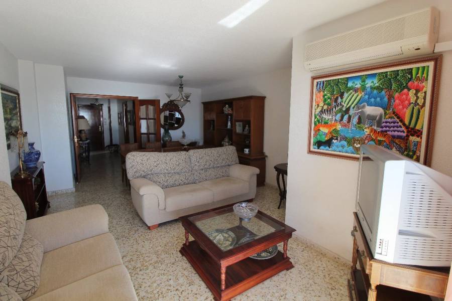 Torrevieja,Alicante,España,4 Bedrooms Bedrooms,3 BathroomsBathrooms,Atico,24904