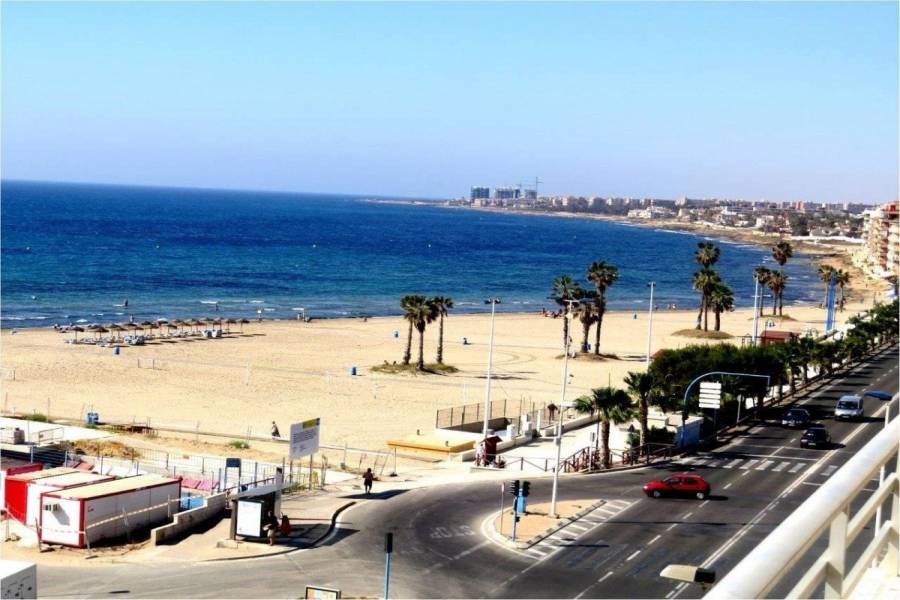 Torrevieja,Alicante,España,3 Bedrooms Bedrooms,1 BañoBathrooms,Apartamentos,24912