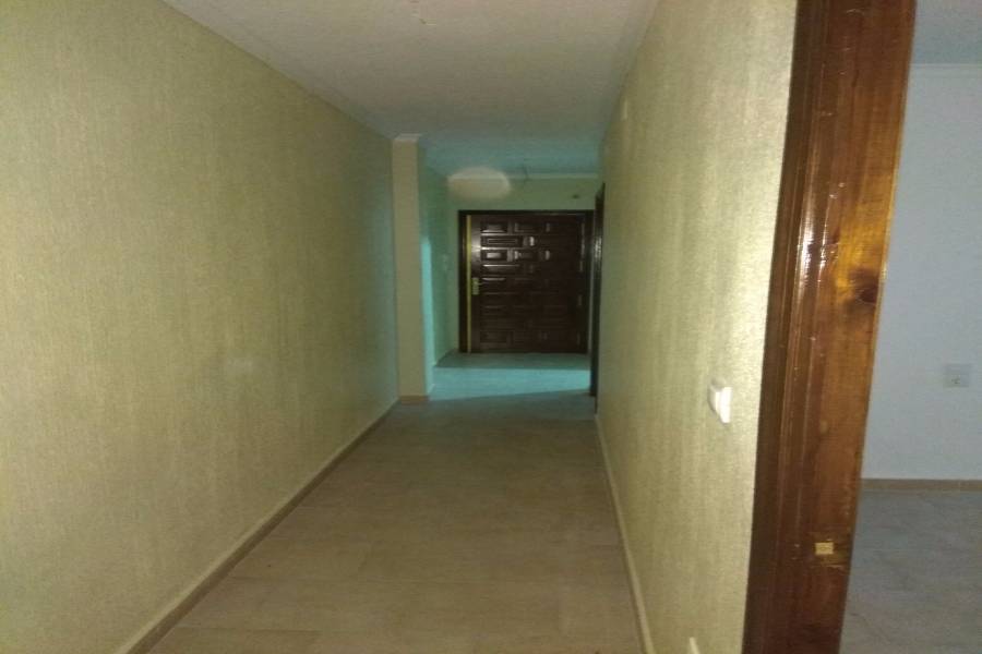 Torrevieja,Alicante,España,2 Bedrooms Bedrooms,1 BañoBathrooms,Planta baja,24954