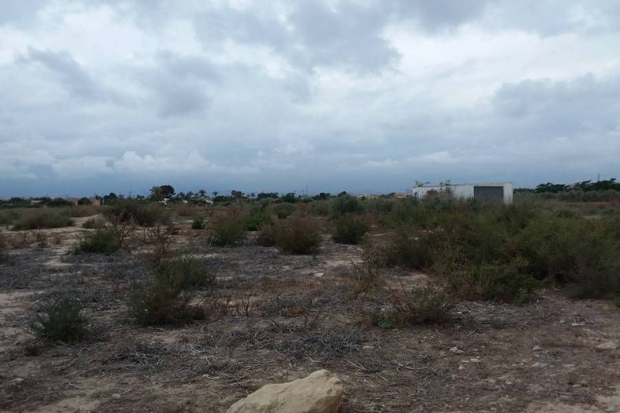 Elche,Alicante,España,Lotes-Terrenos,24966