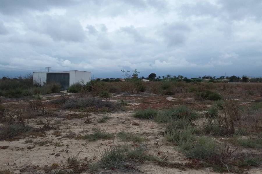 Elche,Alicante,España,Lotes-Terrenos,24966