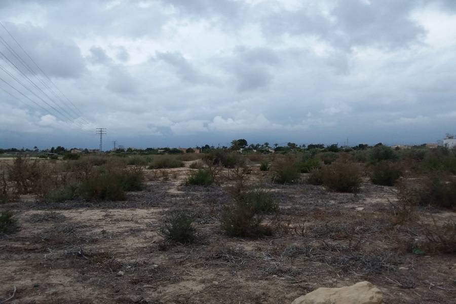 Elche,Alicante,España,Lotes-Terrenos,24966