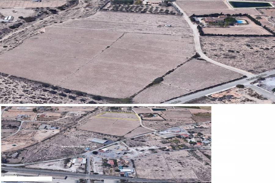 Elche,Alicante,España,Lotes-Terrenos,24966