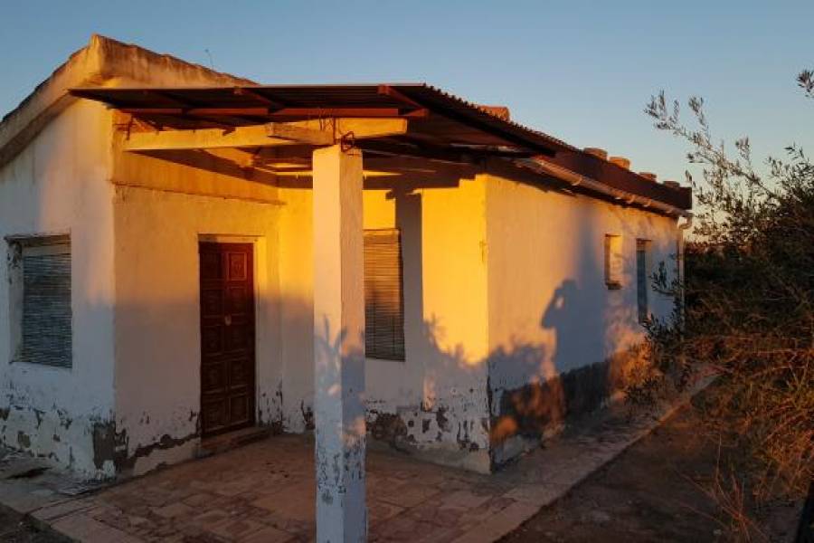 Elche,Alicante,España,3 Bedrooms Bedrooms,1 BañoBathrooms,Casas,24988