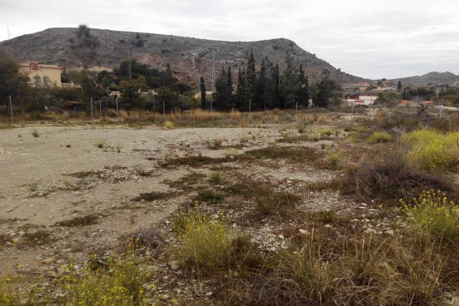 Alicante,Alicante,España,Lotes-Terrenos,25015